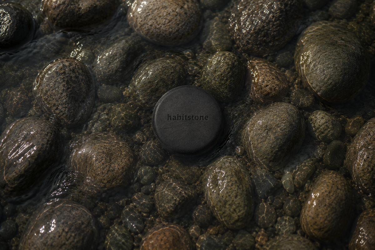 A habitstone resting among wet river stones